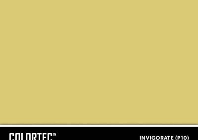 1-P10-Invigorate-ColorTec-Color-Swatch-by-SureCrete
