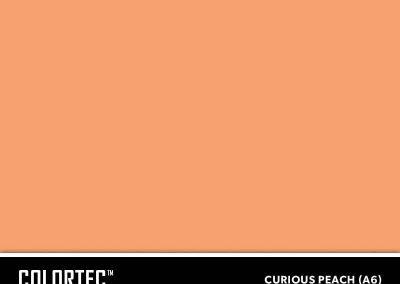 2-A6-Curious-Peach-ColorTec-Color-Swatch-by-SureCrete