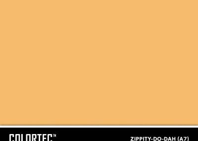 2-A7-Zippity-Do-Dah-ColorTec-Color-Swatch-by-SureCrete