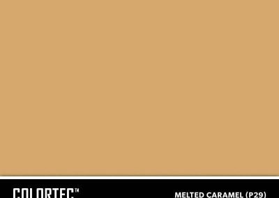 P29-Melted-Caramel-ColorTec-Color-Swatch-by-SureCrete