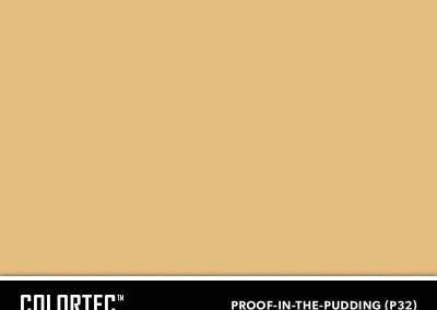 P32-Proof-In-The-Pudding-ColorTec-Color-Swatch-by-SureCrete