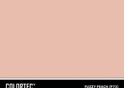 P73-Fuzzy-Peach-ColorTec-Color-Swatch-by-SureCrete