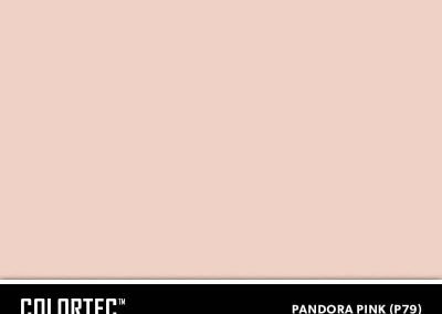 P79-Pandora-Pink-ColorTec-Color-Swatch-by-SureCrete